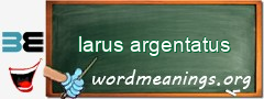 WordMeaning blackboard for larus argentatus